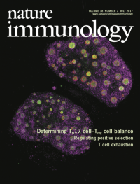 The microRNA miR-31 inhibits CD8<sup>+</sup> T cell function in chronic viral infection.